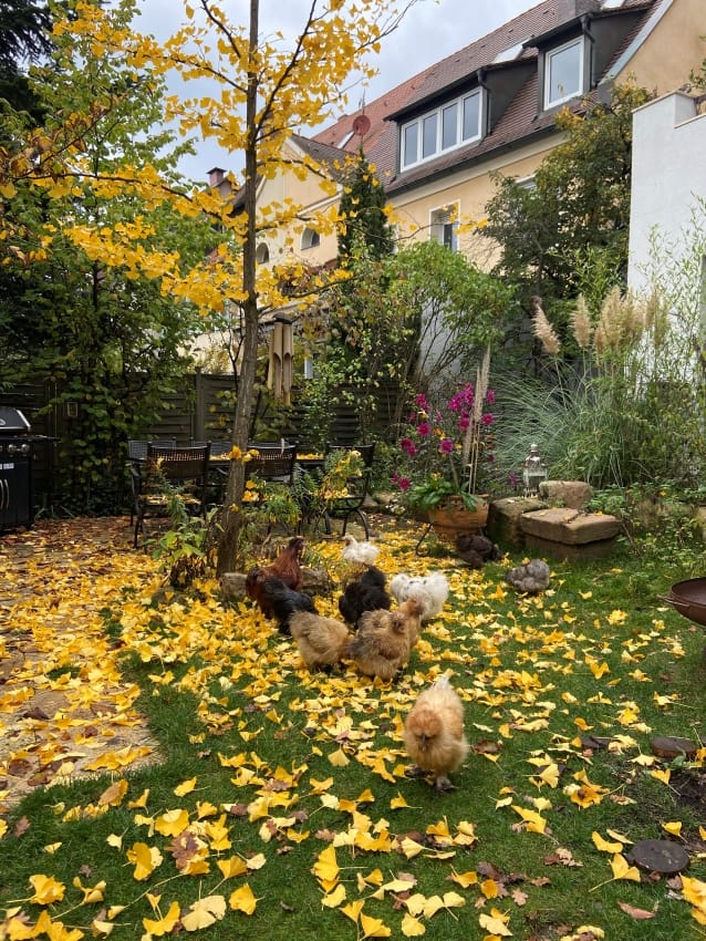 Der normale Garten