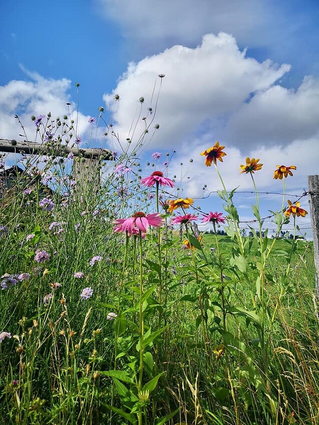 Bunte Vielfalt