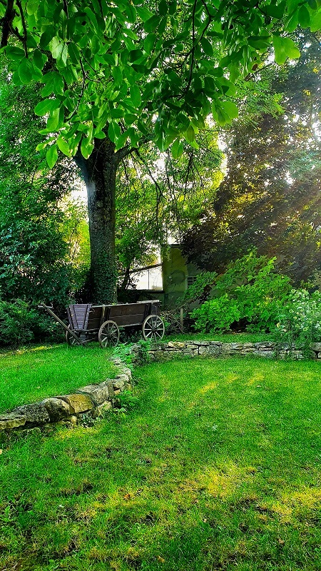 Mein Garten