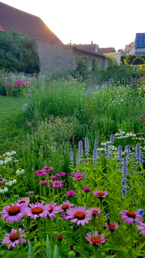 Buntes Staudenbeet