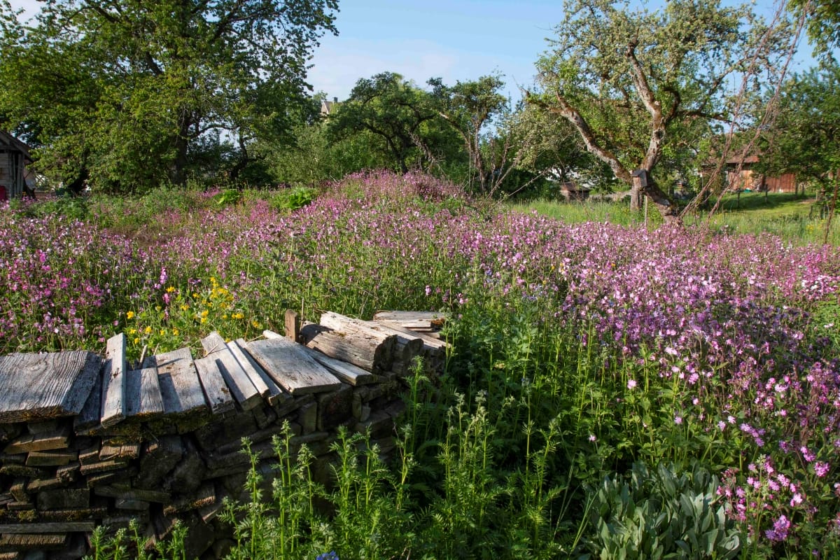 Naturgarten von Katja Falkenburger