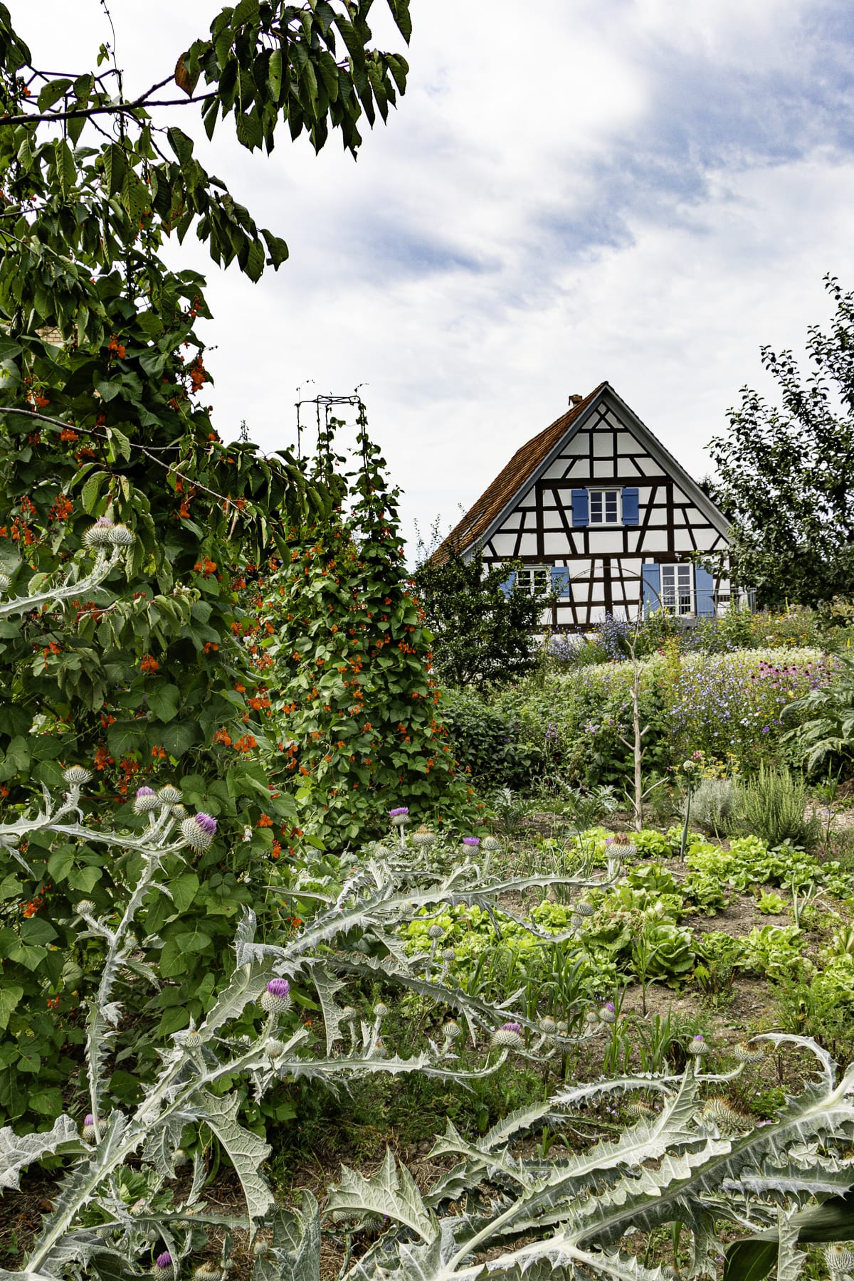 Naturgarten von Katja Falkenburger