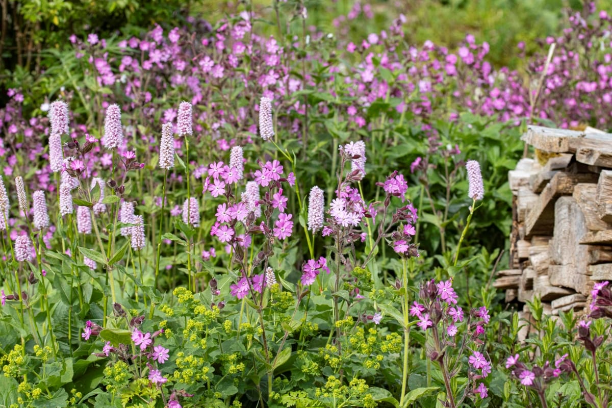 Naturgarten von Katja Falkenburger