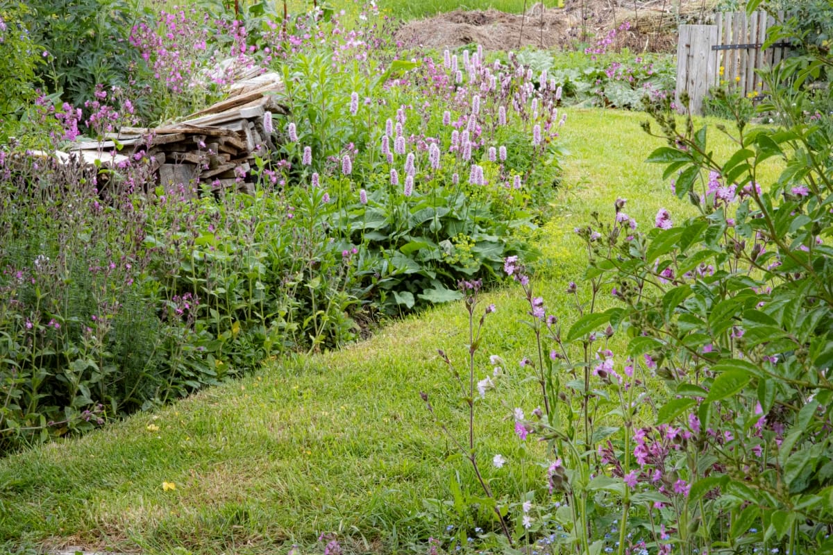 Naturgarten von Katja Falkenburger