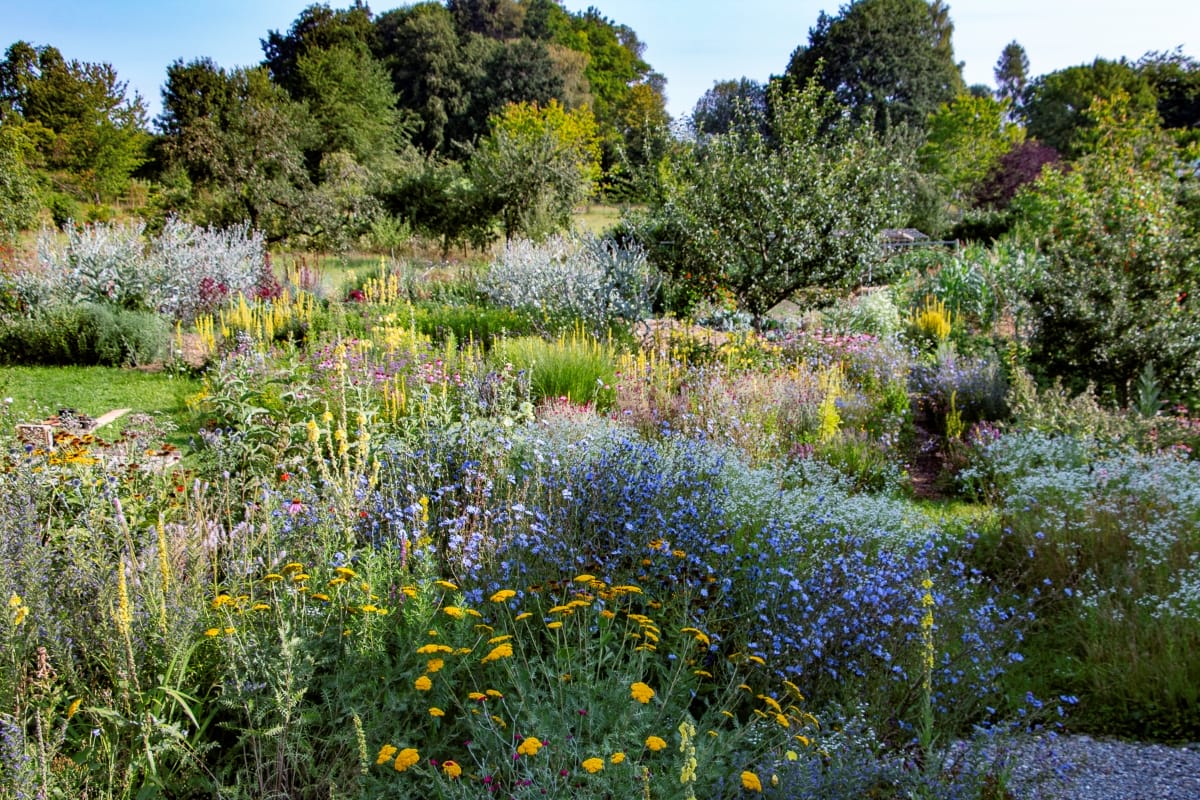 Naturgarten von Katja Falkenburger