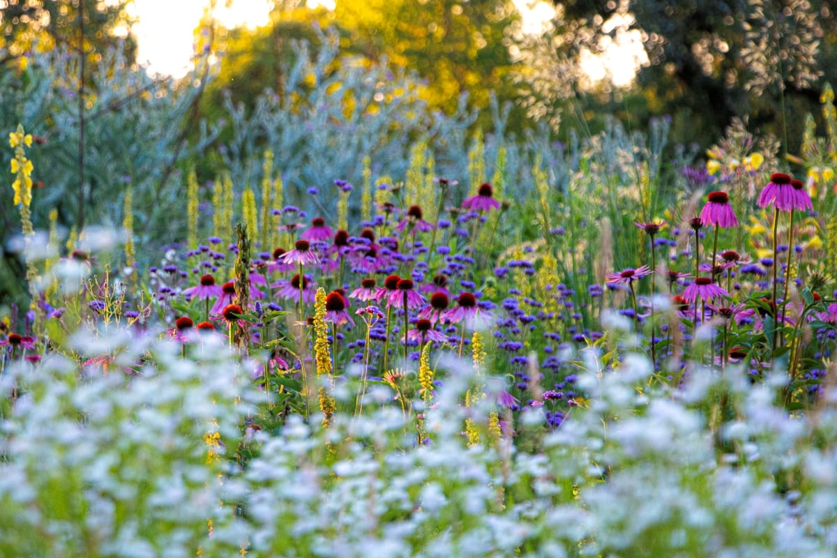 Naturgarten von Katja Falkenburger