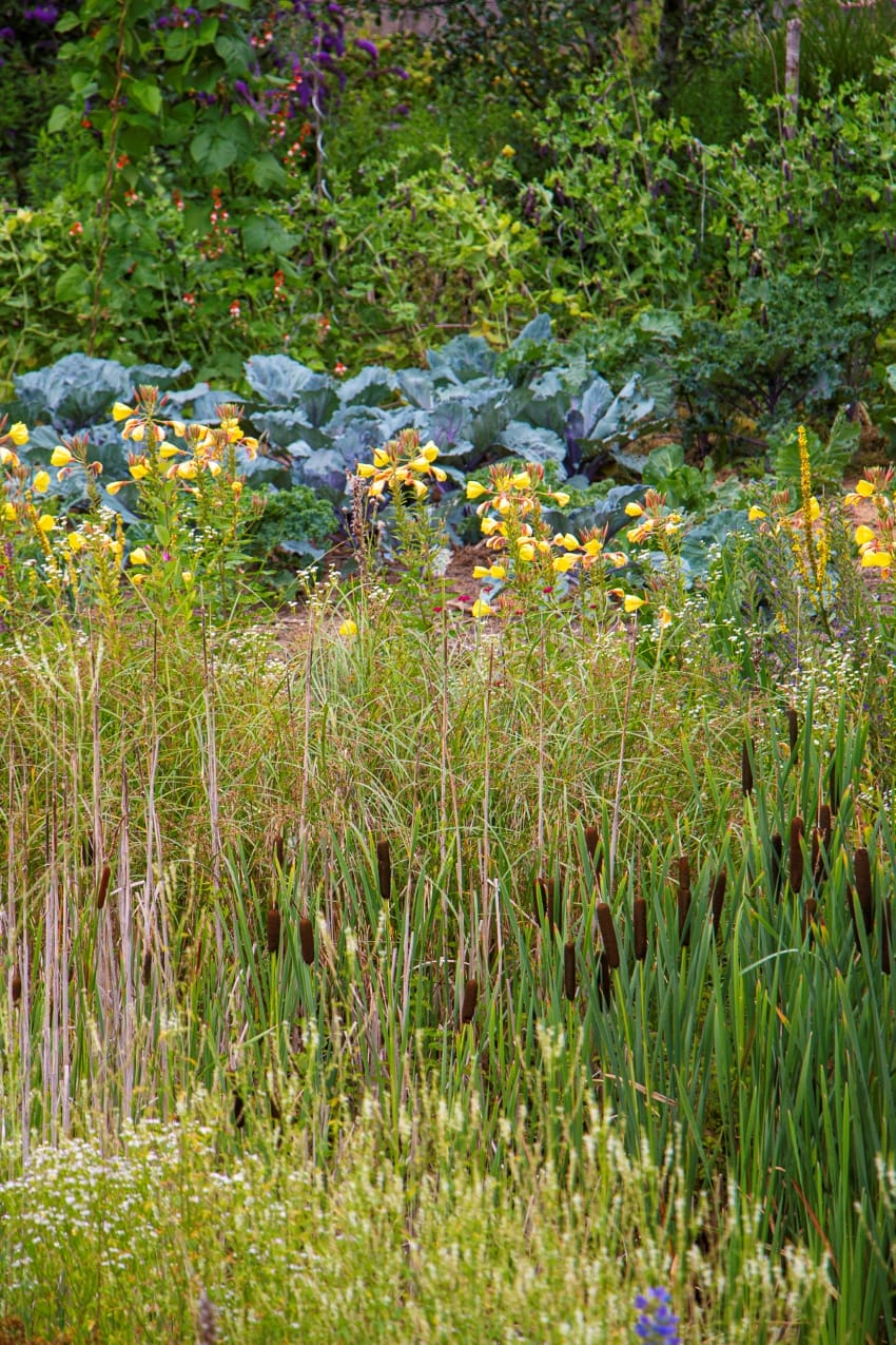 Naturgarten von Katja Falkenburger