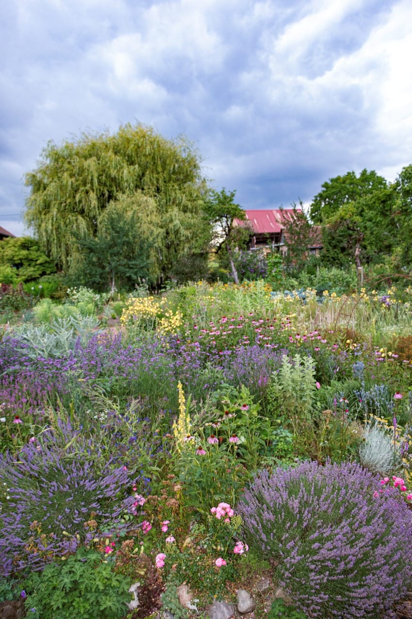 Naturgarten von Katja Falkenburger