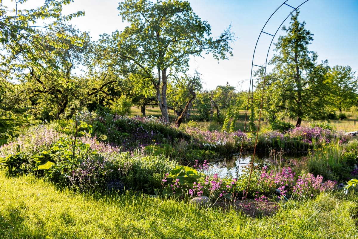 Naturgarten von Katja Falkenburger