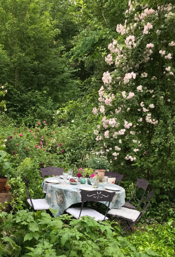 Cottage Garden
