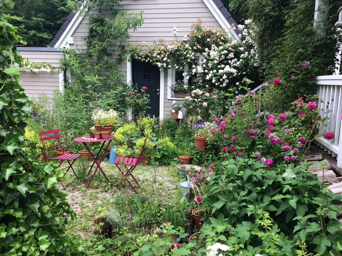 Cottage Garden