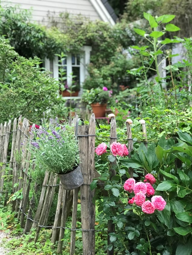 Cottage Garden