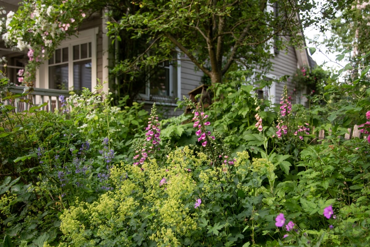 Cottage Garden