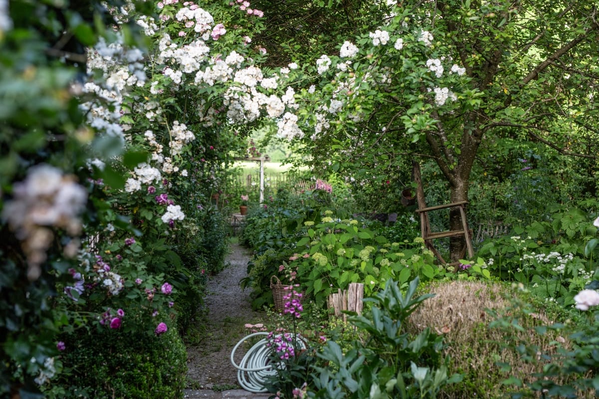 Cottage Garden