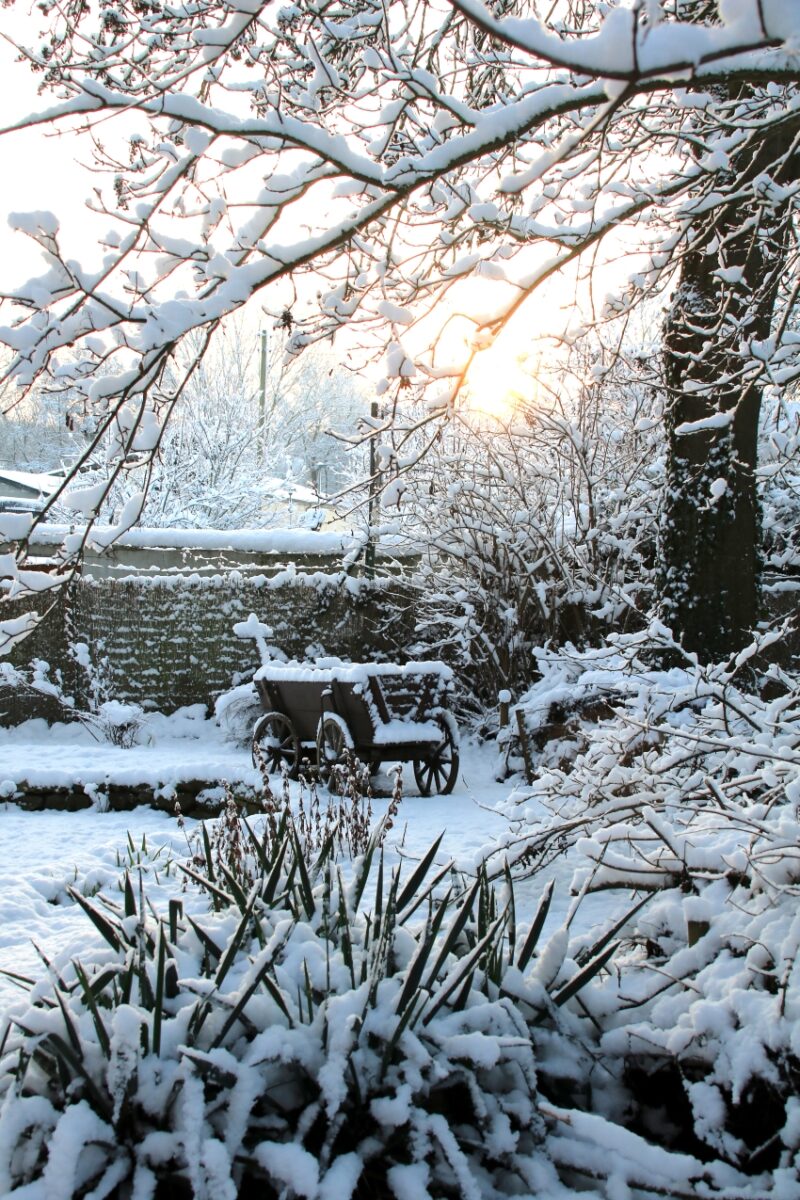 Winterlicher Garten