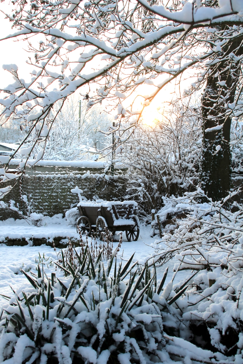 Garten mit Gehölzen gestalten