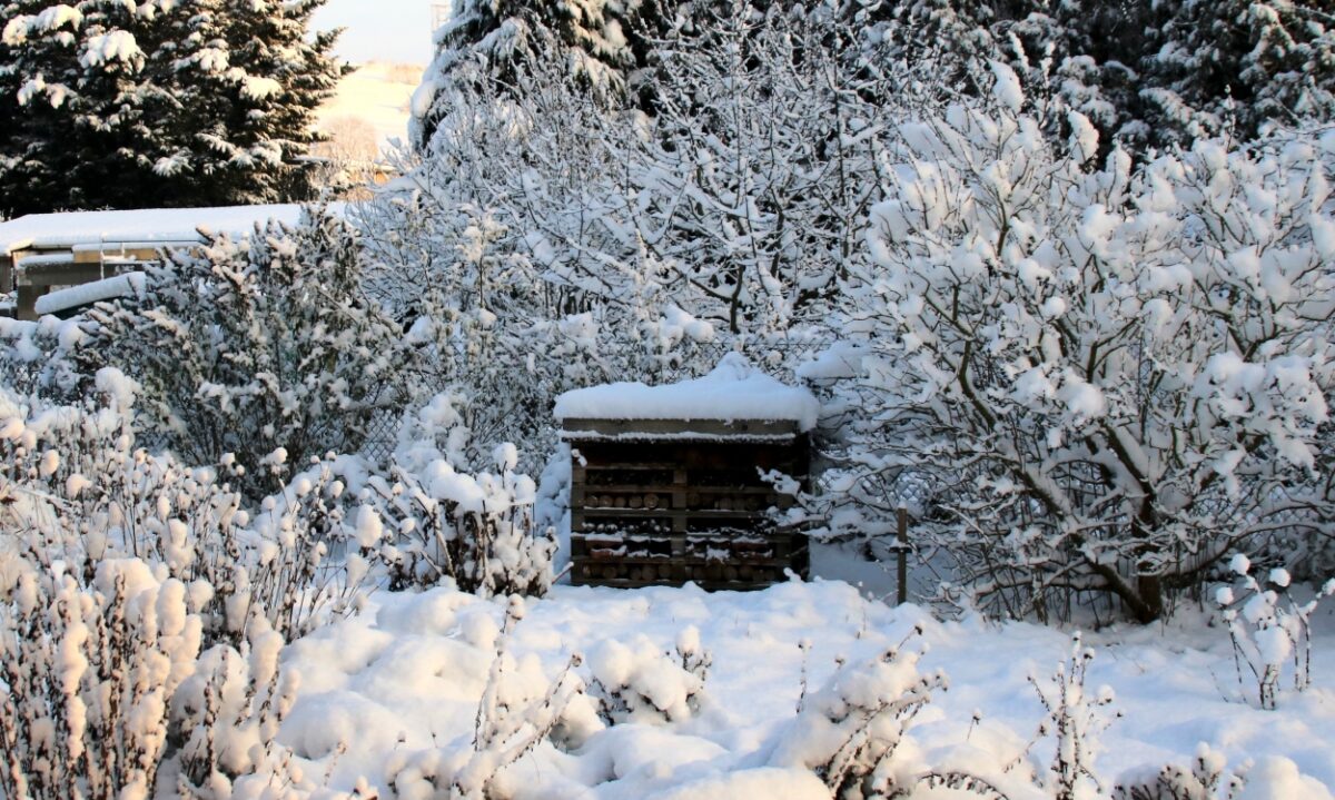 Garten mit Gehölzen gestalten