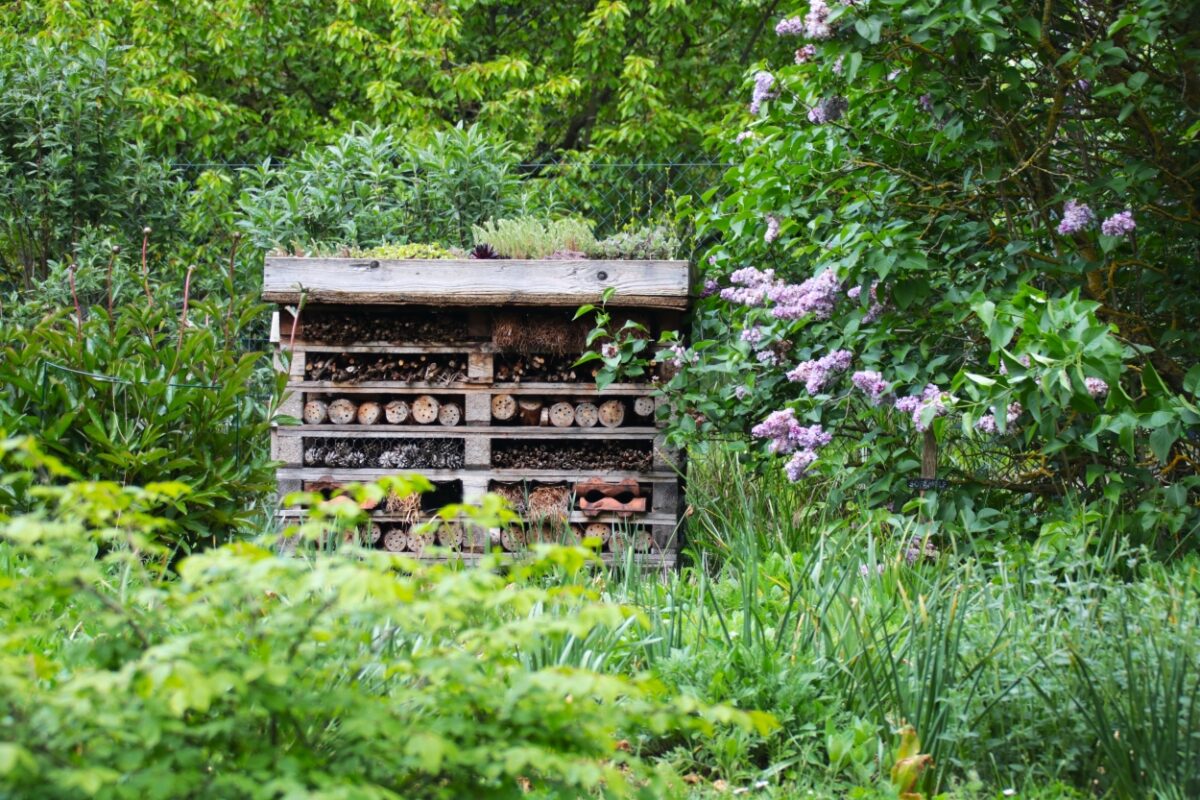 Garten mit Gehölzen gestalten