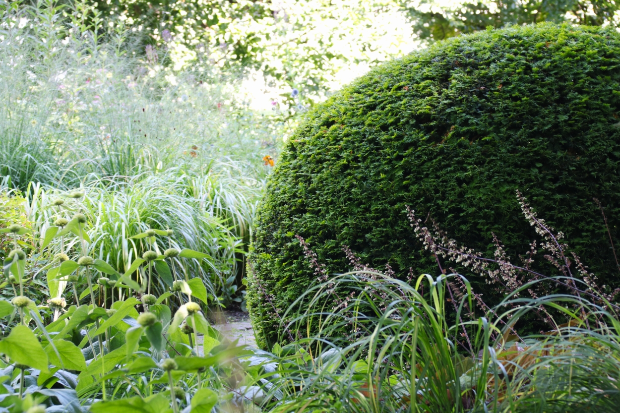 Garten mit Gehölzen gestalten