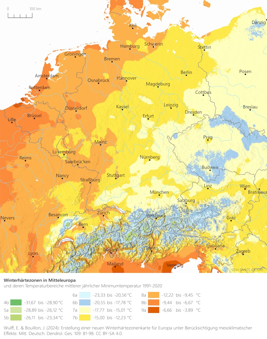 Winterharte Stauden und Winterhärtezonen Deutschland