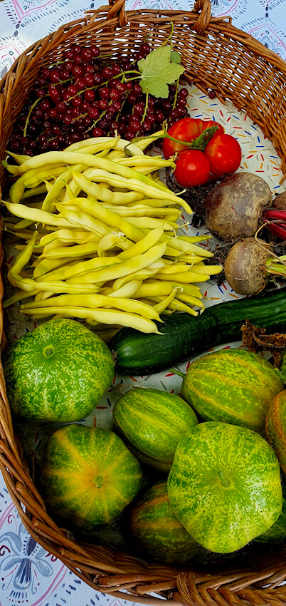 Gemüsegarten