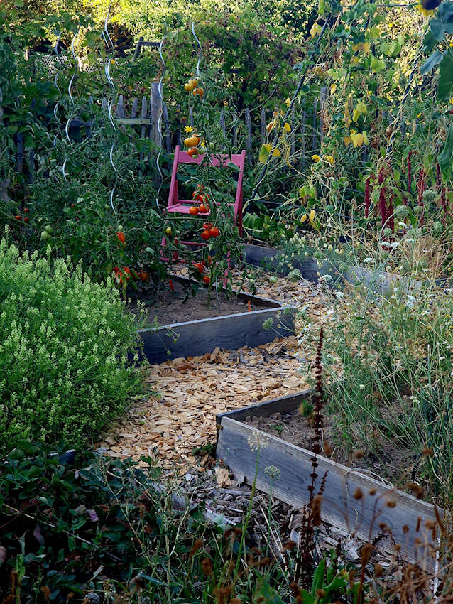Gemüsegarten