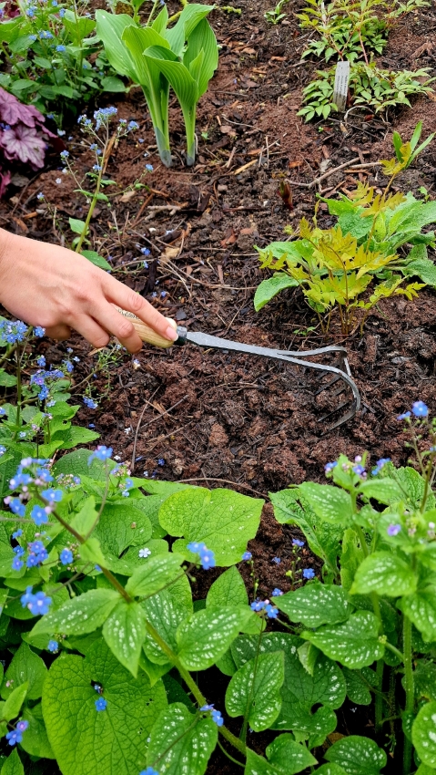 Gartenarbeit im Mai