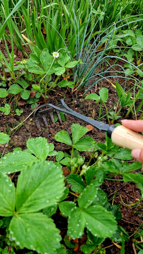 Gartenarbeit im Mai
