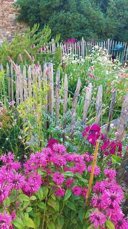 Staudenbeet beim Gemüsegarten