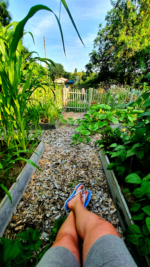 Gemüsegarten