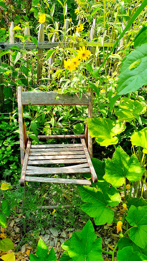 Gemüsegarten
