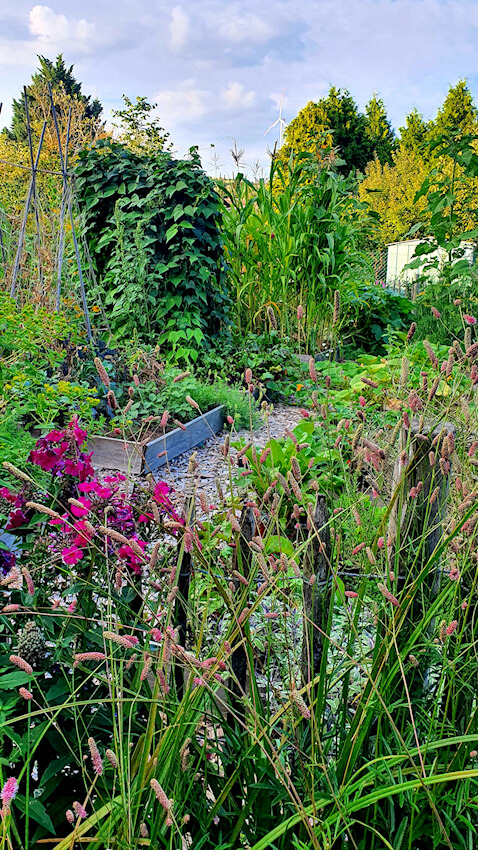 Gemüsegarten