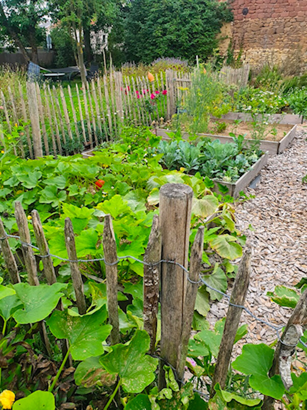 Gemüsegarten