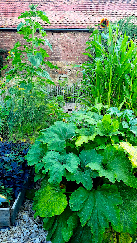 Gemüsegarten