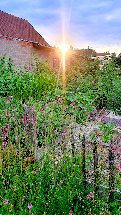 Gemüsegarten