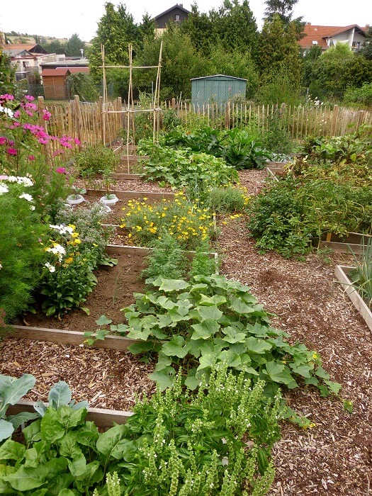 Gemüsegarten