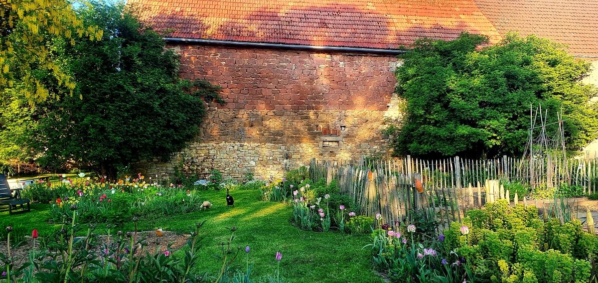 Gartenarbeit im Mai