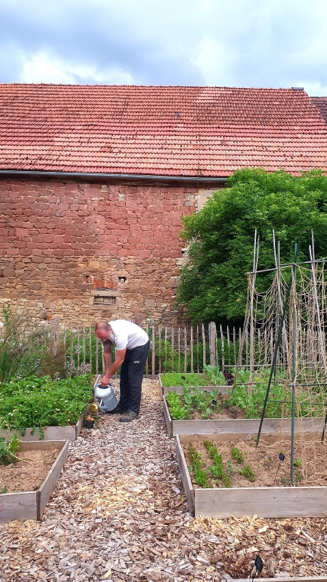 Gartenarbeit im Juni - Gemüsegarten