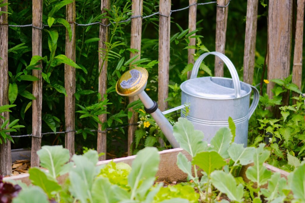 Gartenarbeit im Juni