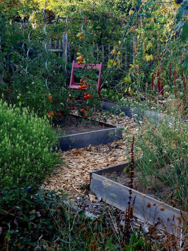 Gartenarbeit im August