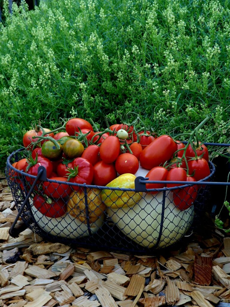 Gartenarbeit im September