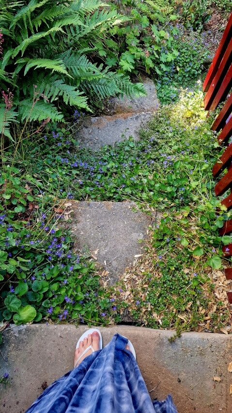 Treppenaufgang mit Farn.