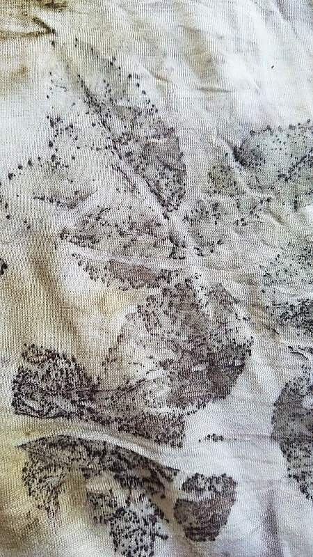 Eco Print