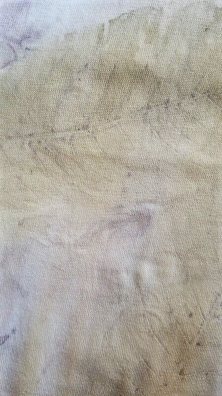 Eco Print