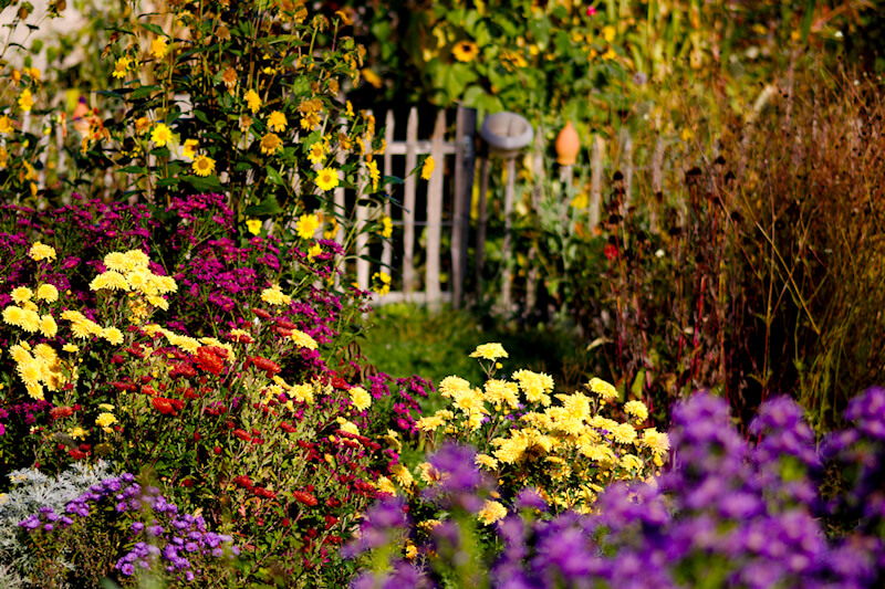 Einen bunten Garten im Herbst