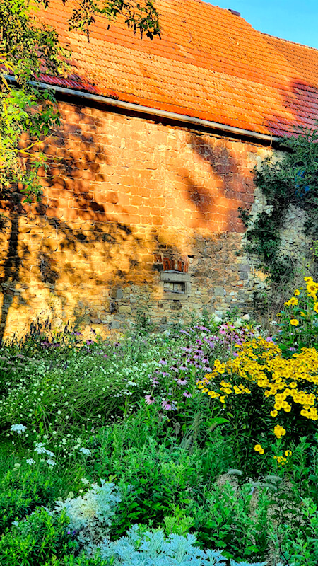 Einen bunten Garten im Herbst