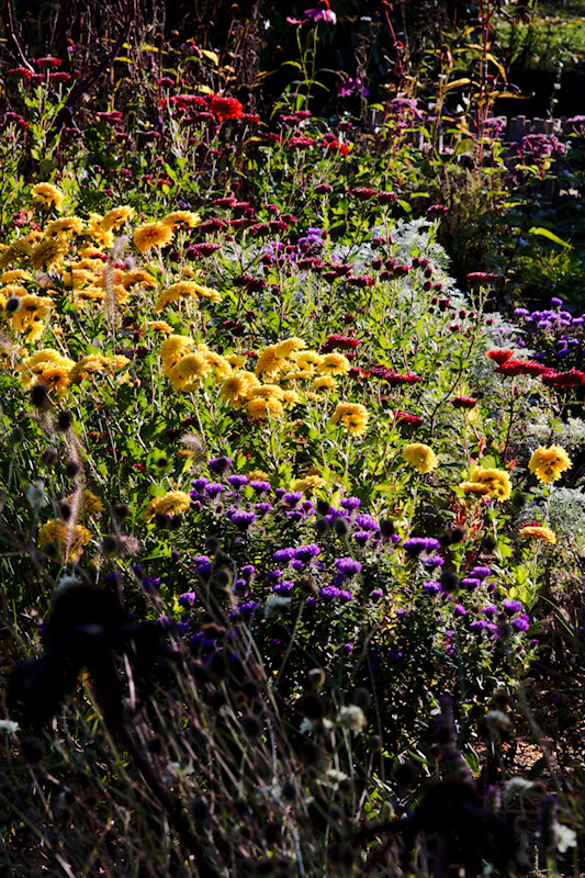 Einen bunten Garten im Herbst