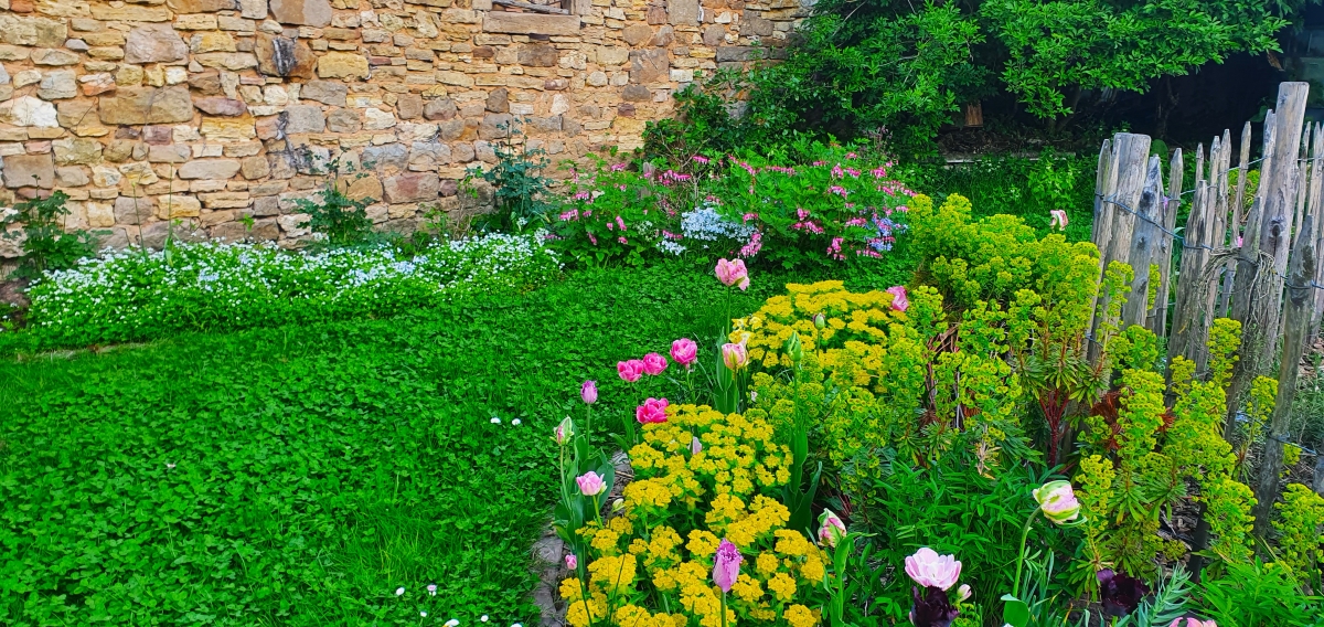 Frühblüher im Garten