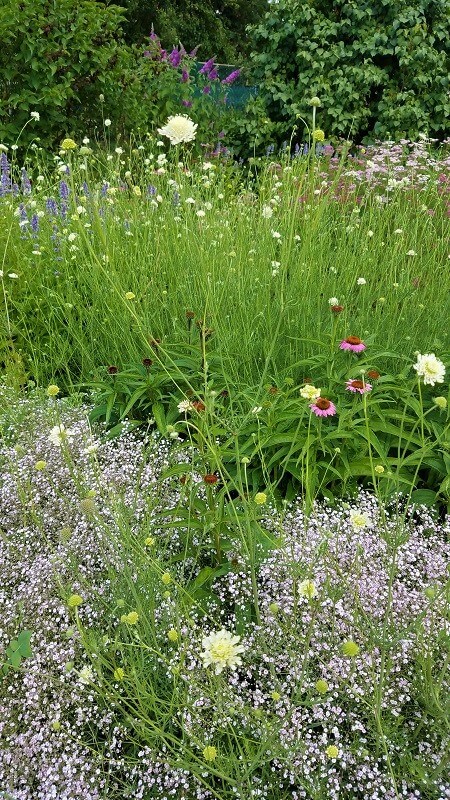 geheimen Garten