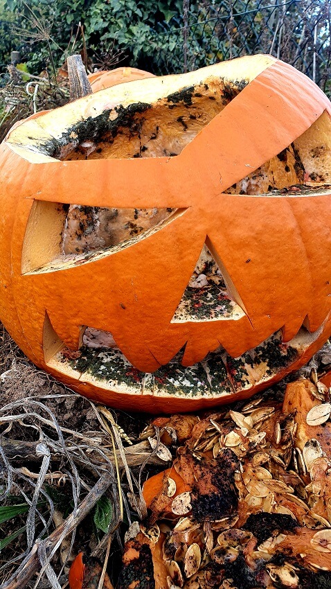 Gartenarbeit im November